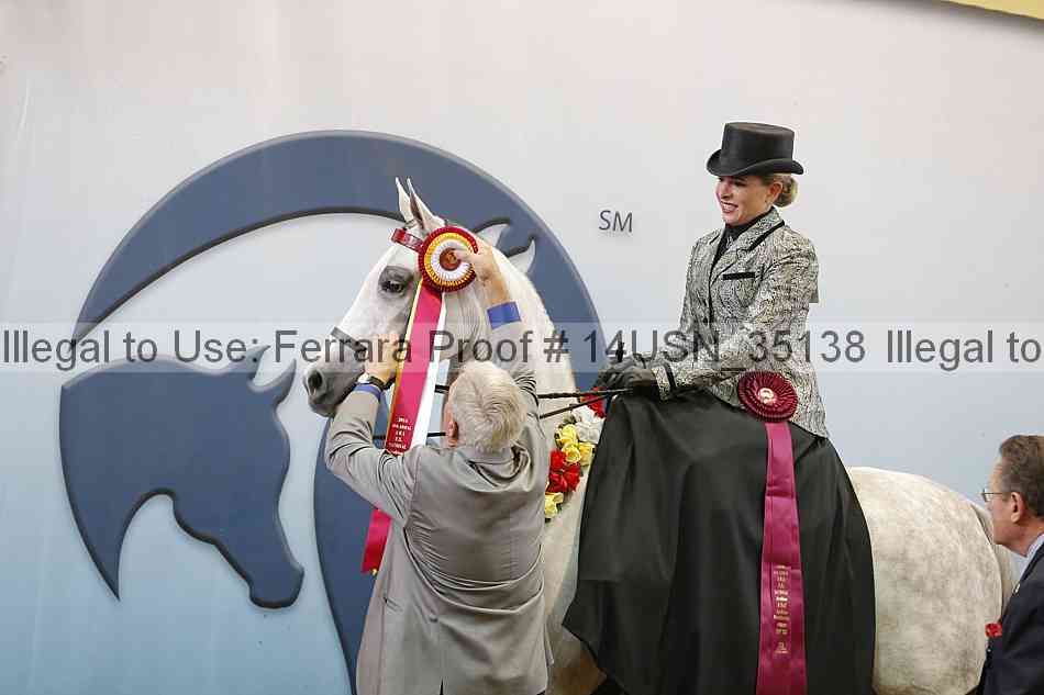 Proof 14usn_35138