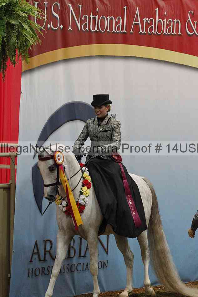 Proof 14usn_35139