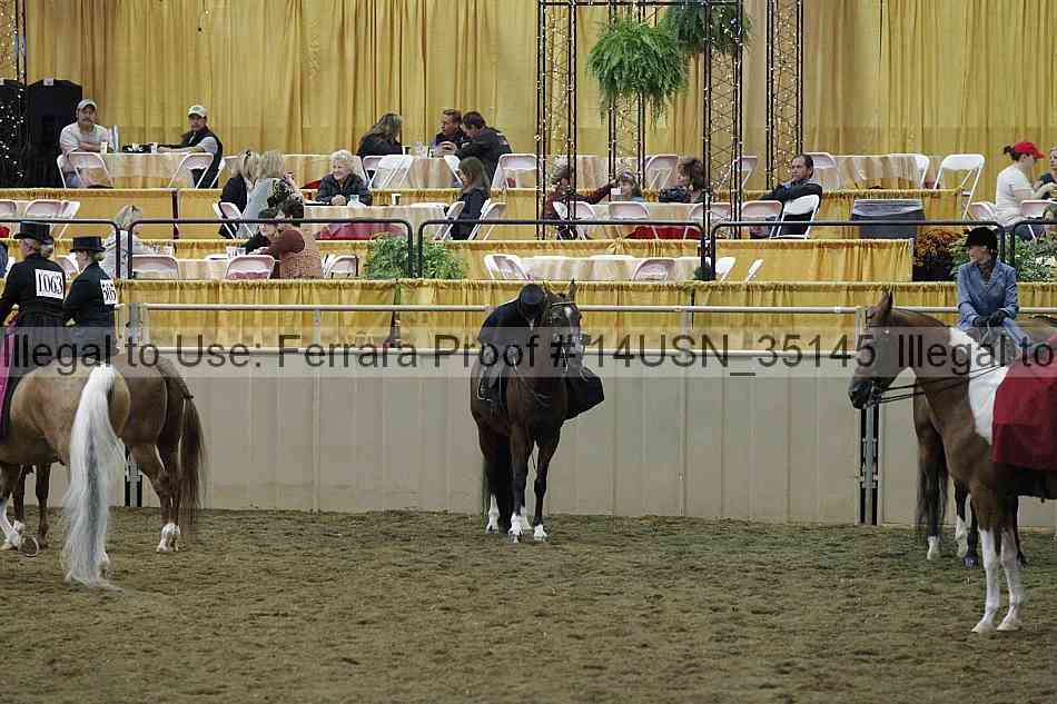 Proof 14usn_35145