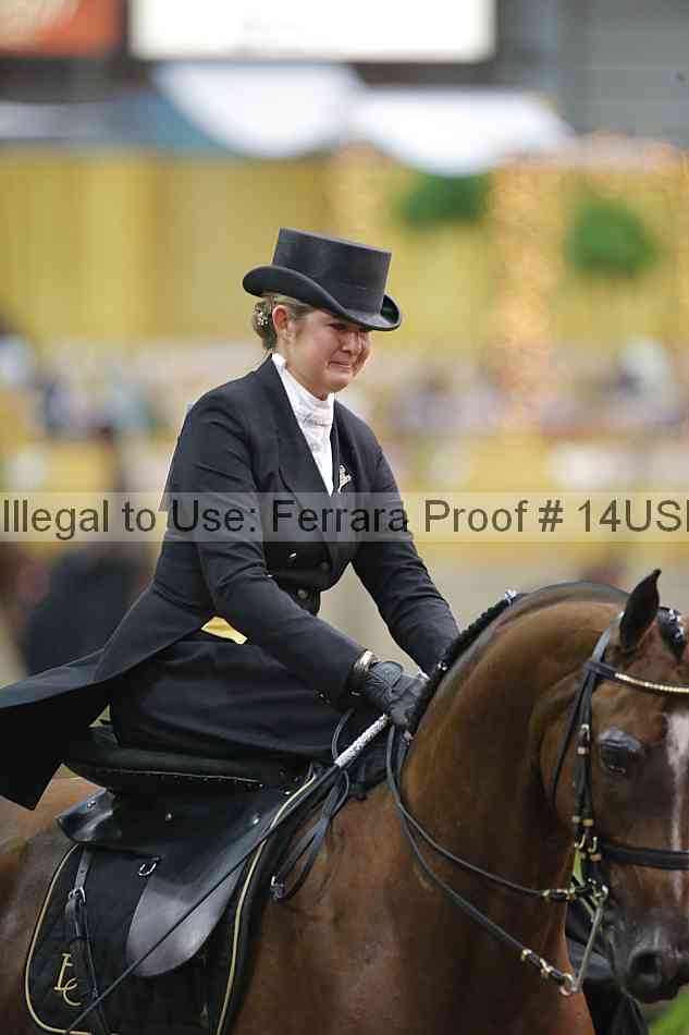 Proof 14usn_35147