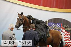 14usn_35155 proof