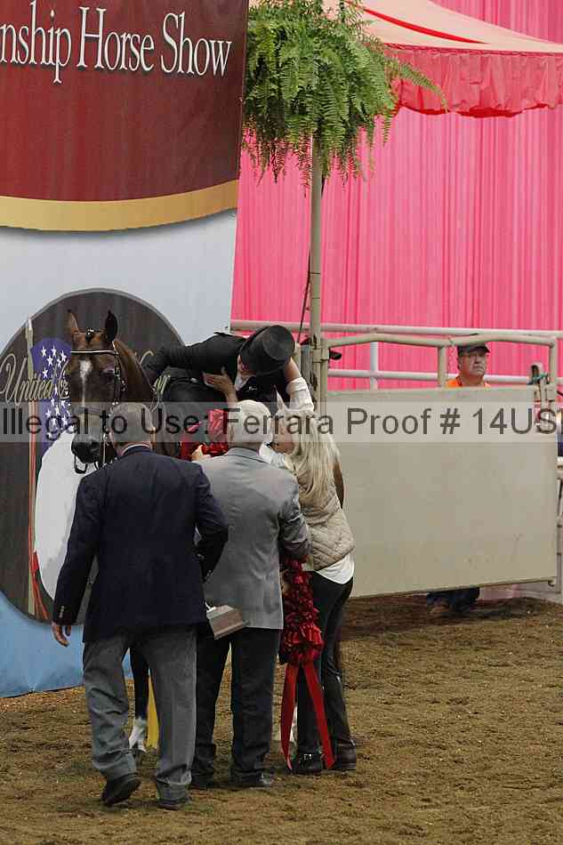 Proof 14usn_35160