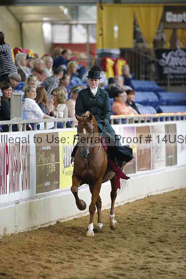 Proof 14usn_35174