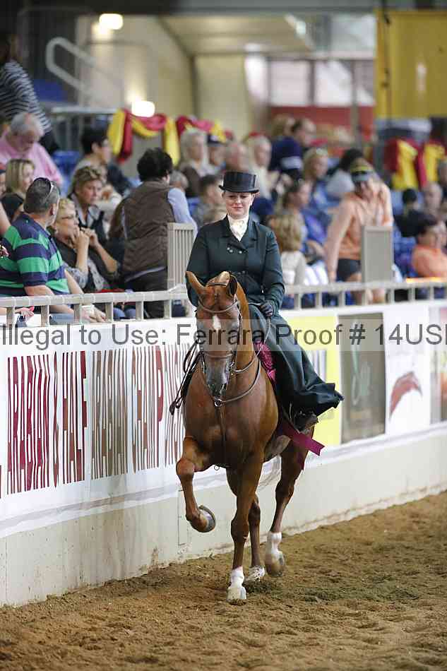 Proof 14usn_35176