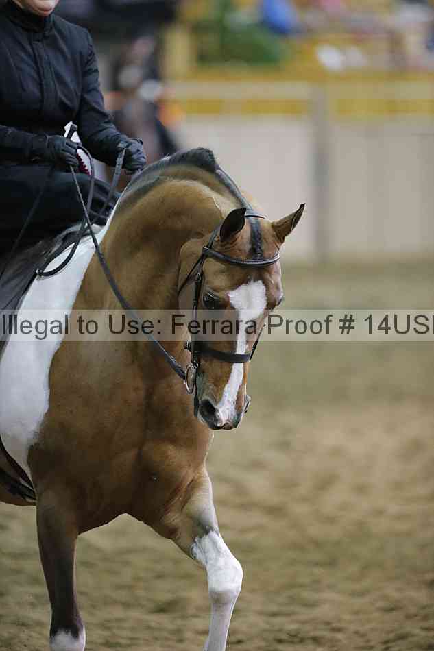 Proof 14usn_35185