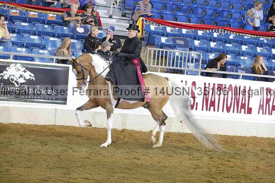 Proof 14usn_35186