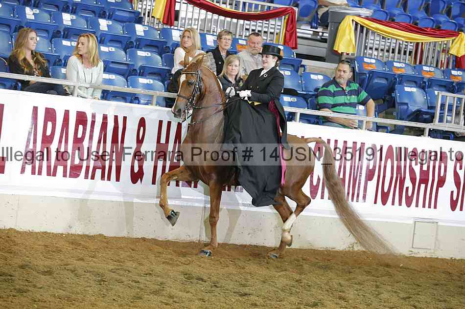 Proof 14usn_35191