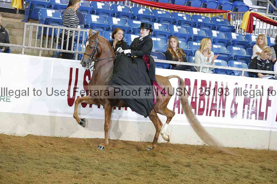 Proof 14usn_35193