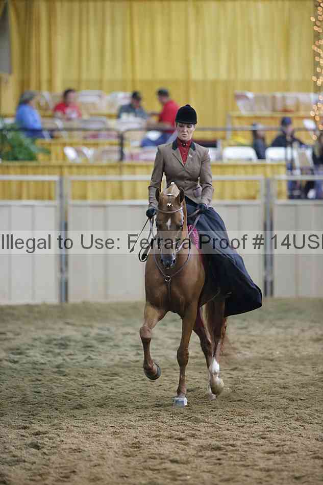 Proof 14usn_35194