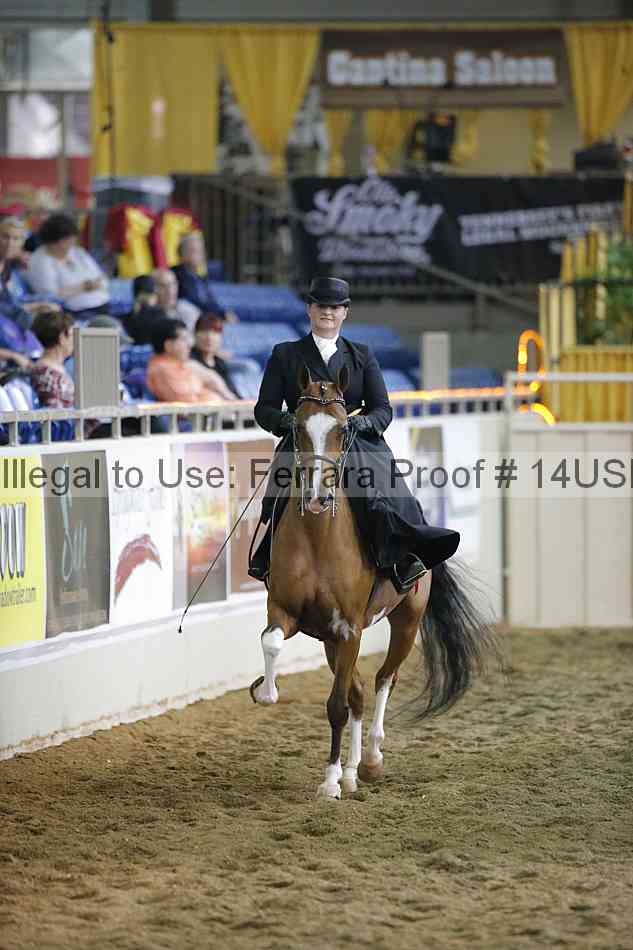 Proof 14usn_35198