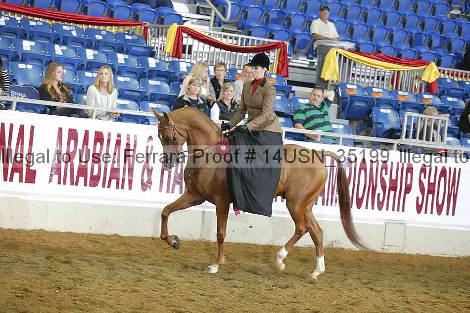 Proof 14usn_35199
