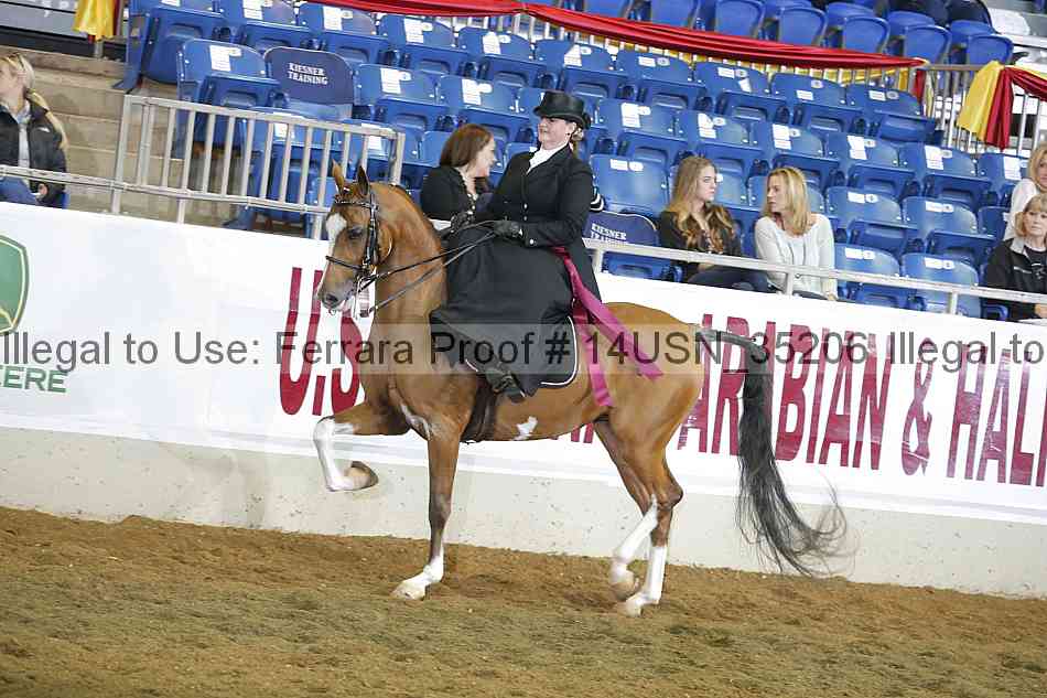 Proof 14usn_35206