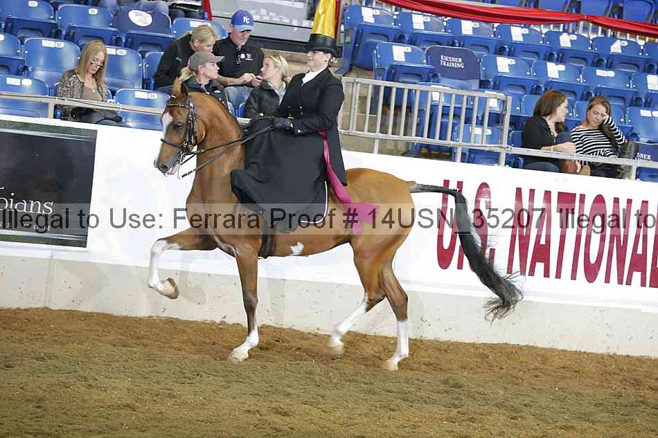 Proof 14usn_35207