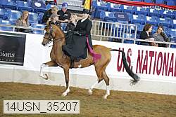 14usn_35207 proof