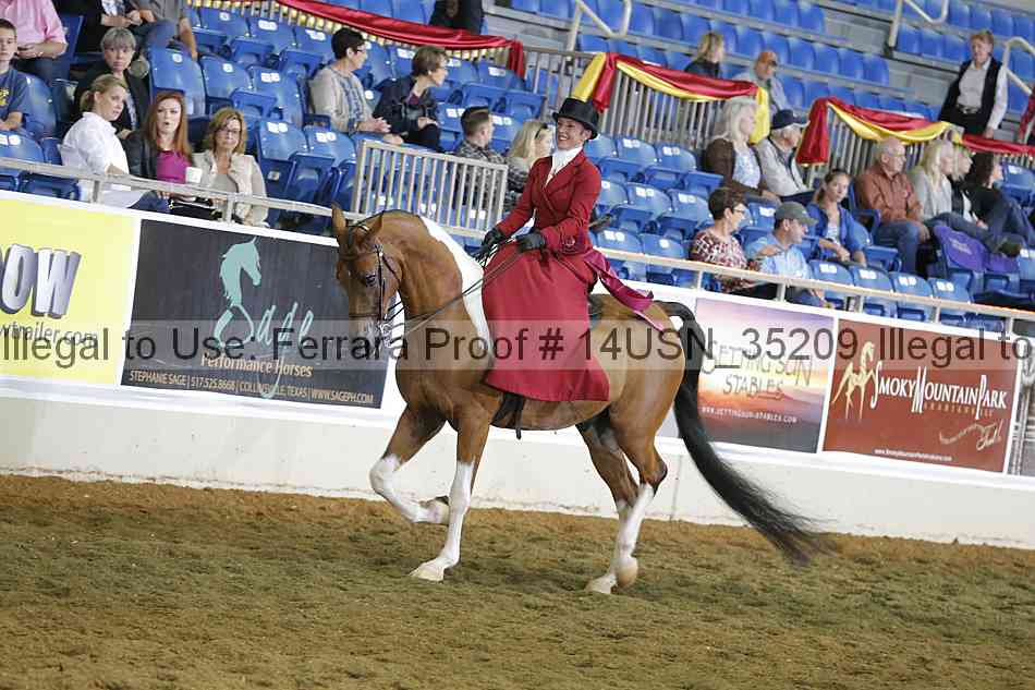 Proof 14usn_35209