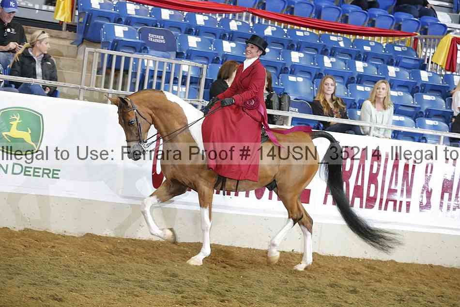 Proof 14usn_35214