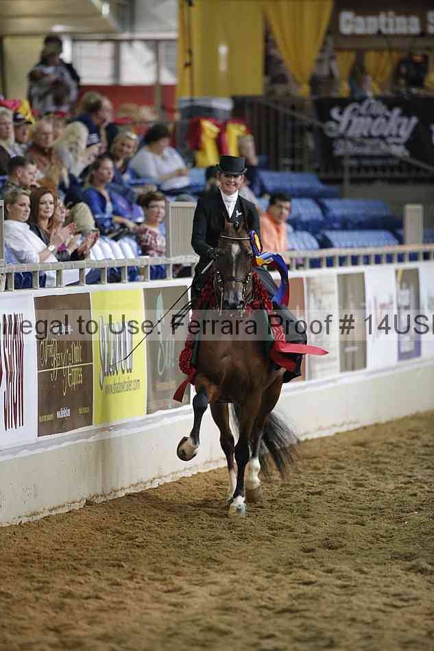 Proof 14usn_35245