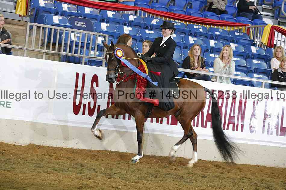 Proof 14usn_35258