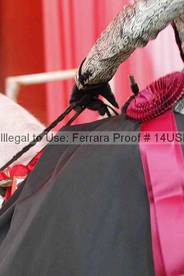 Proof 14usn_35266