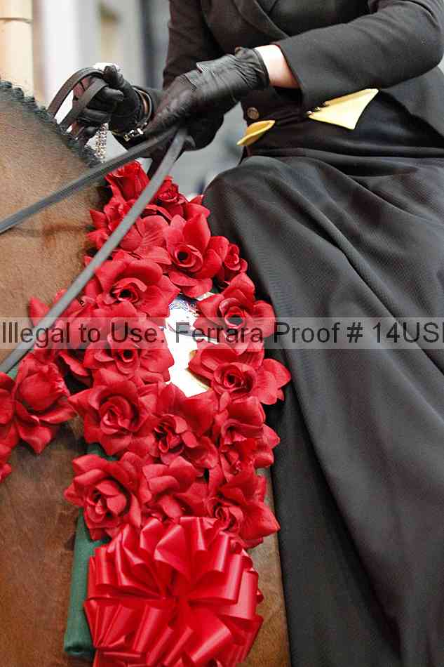 Proof 14usn_35280