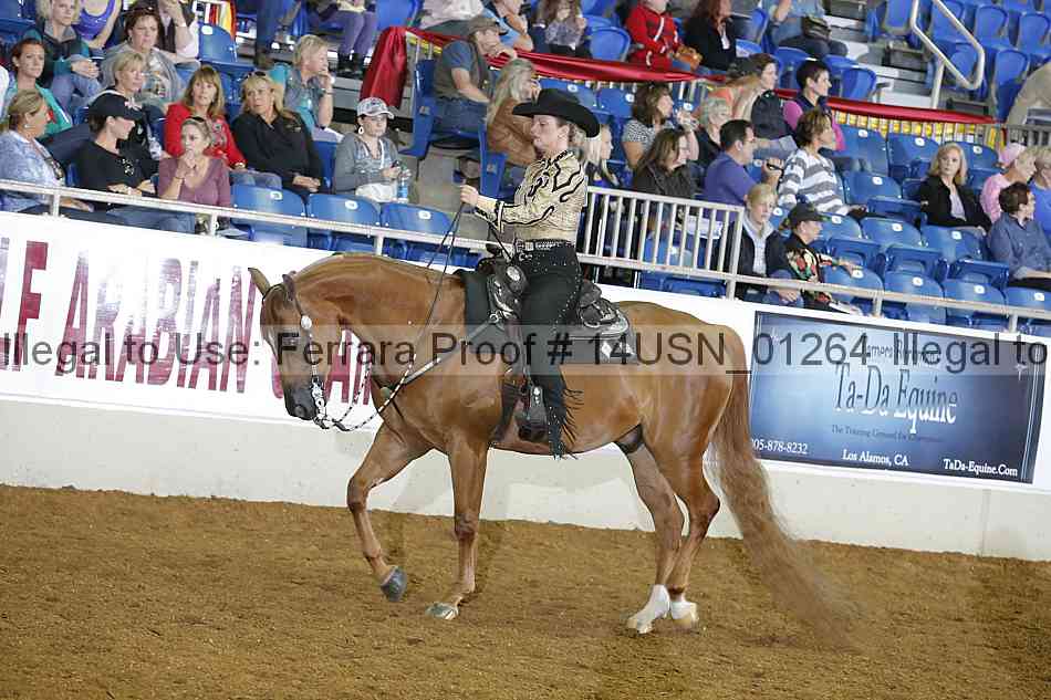 Proof 14usn_01264
