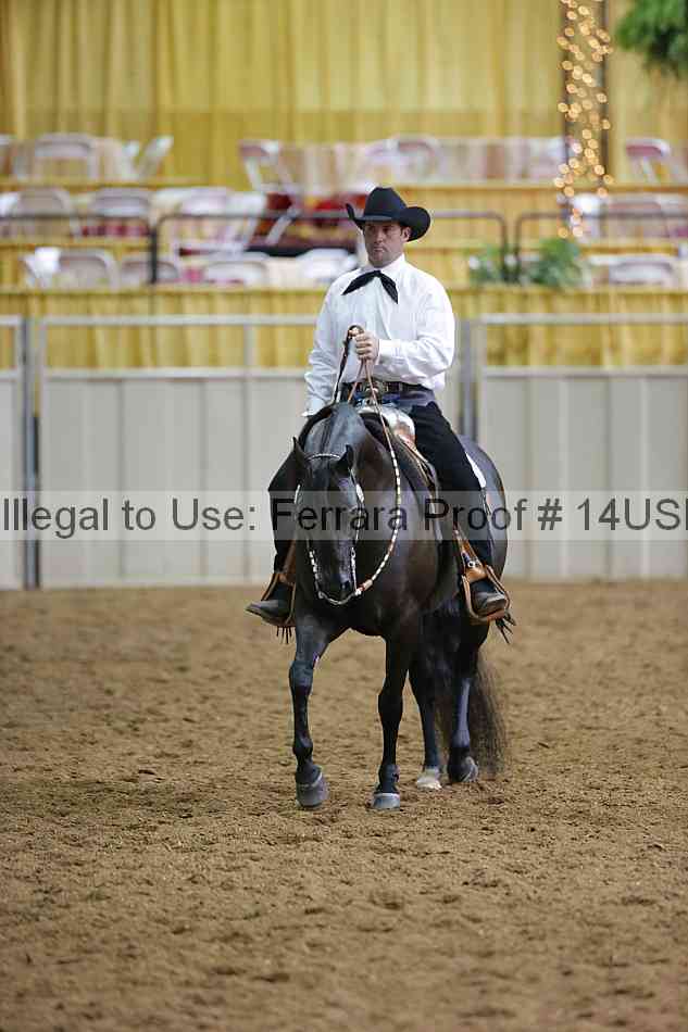 Proof 14usn_01278