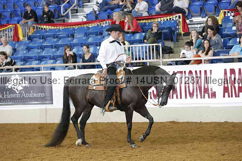 Proof 14usn_01287