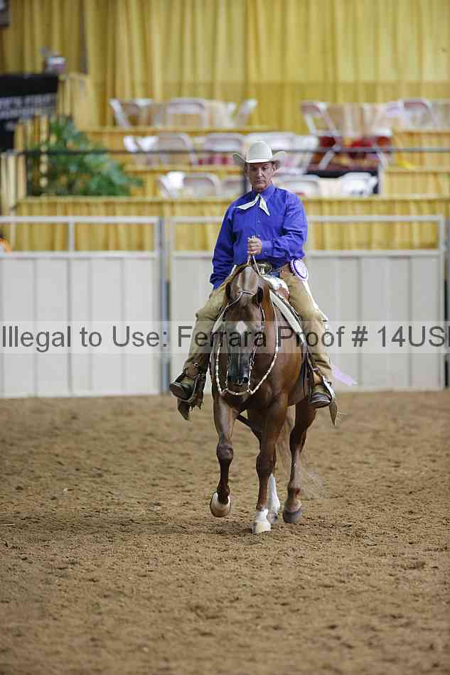 Proof 14usn_01290