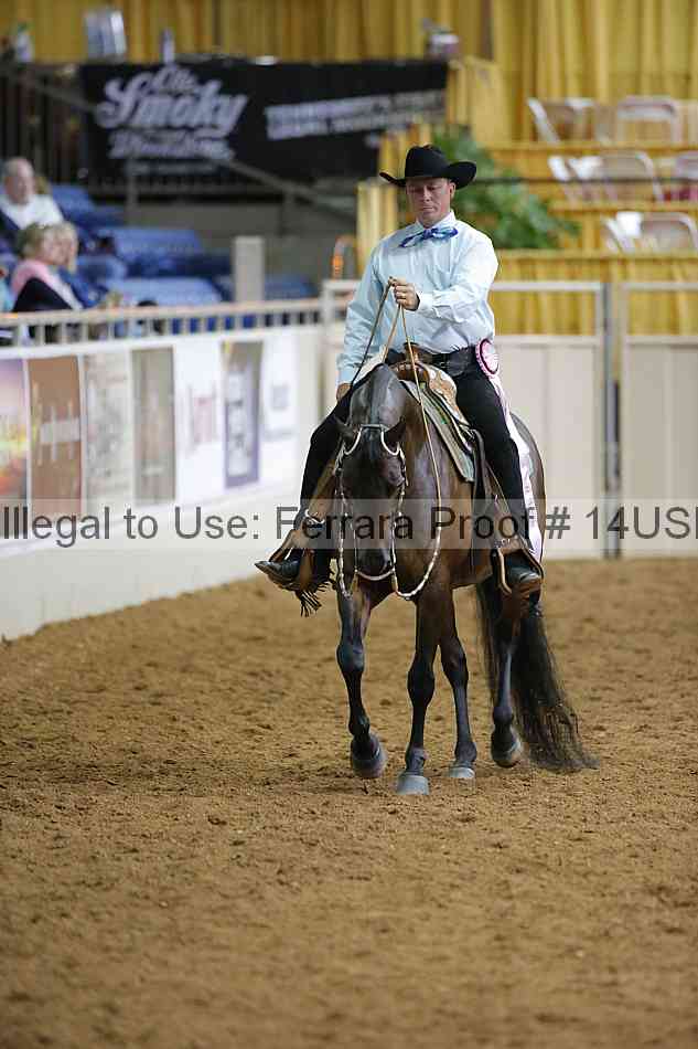 Proof 14usn_01294