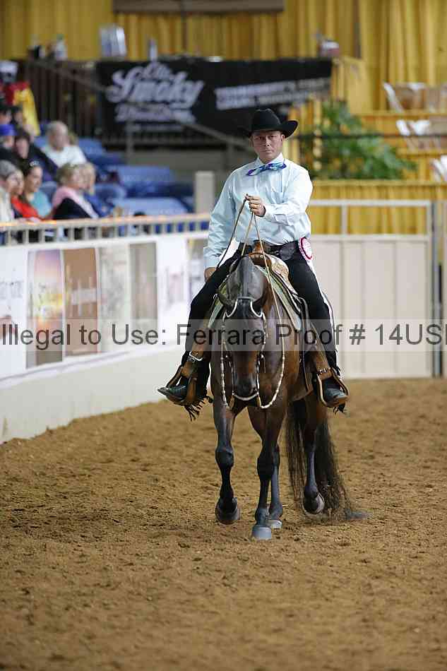 Proof 14usn_01295