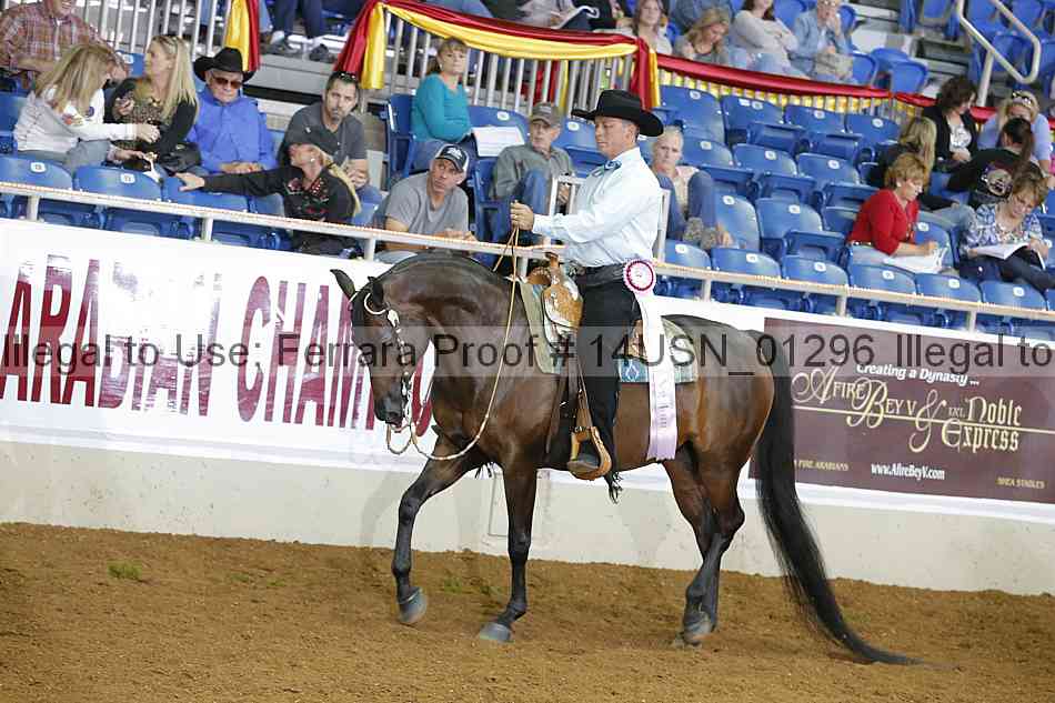 Proof 14usn_01296