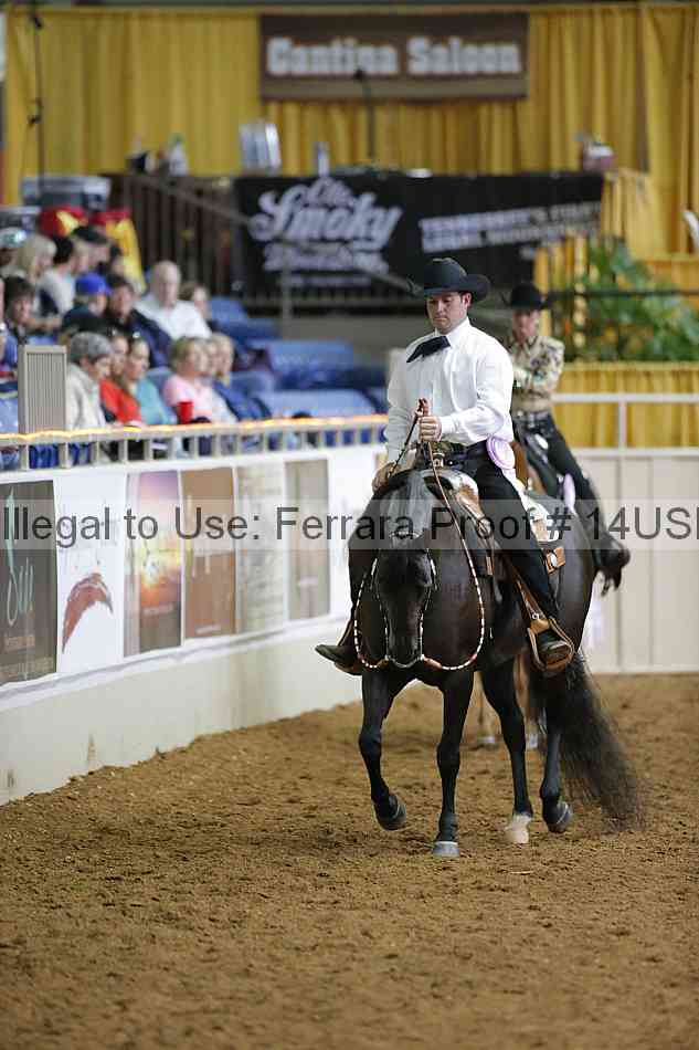 Proof 14usn_01299