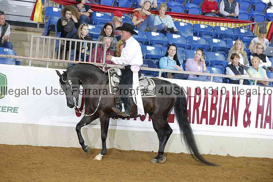 Proof 14usn_01310