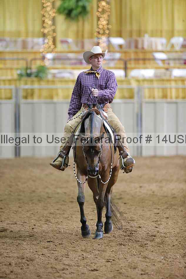 Proof 14usn_01331