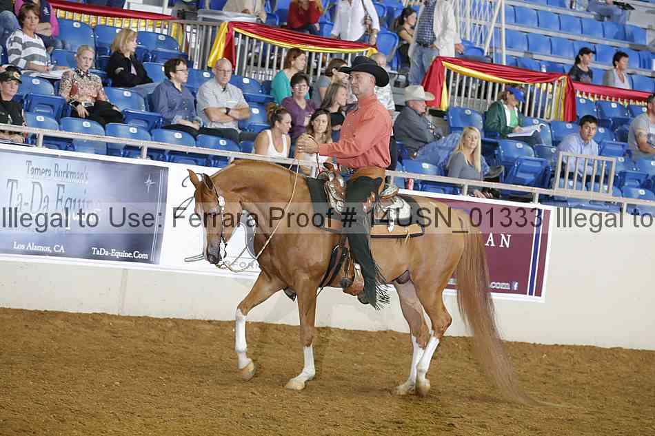 Proof 14usn_01333