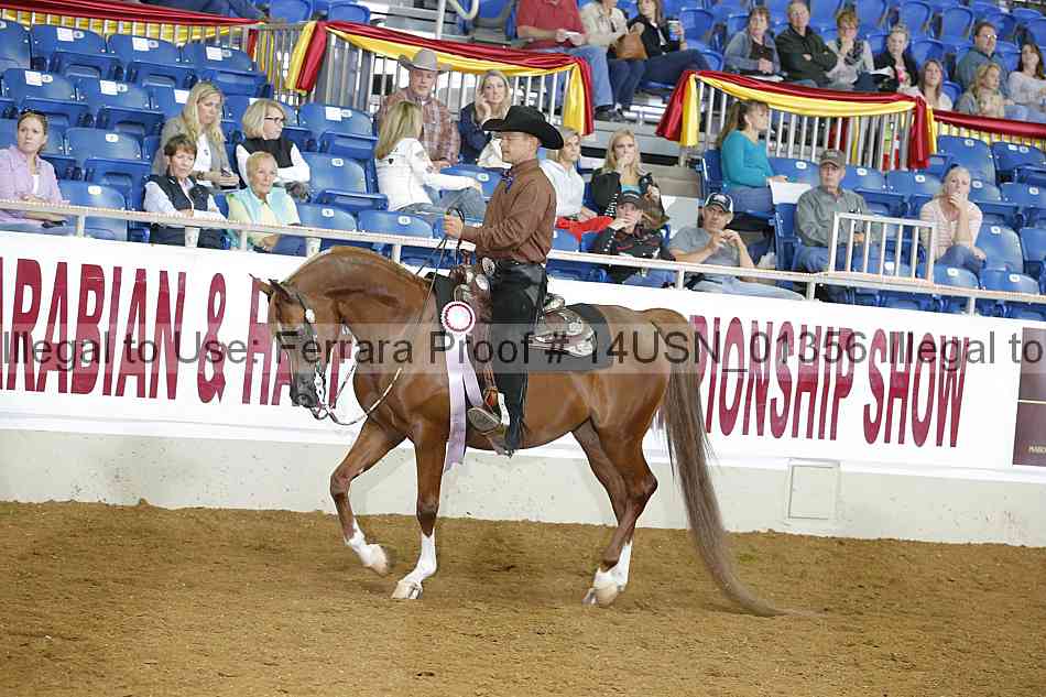 Proof 14usn_01356