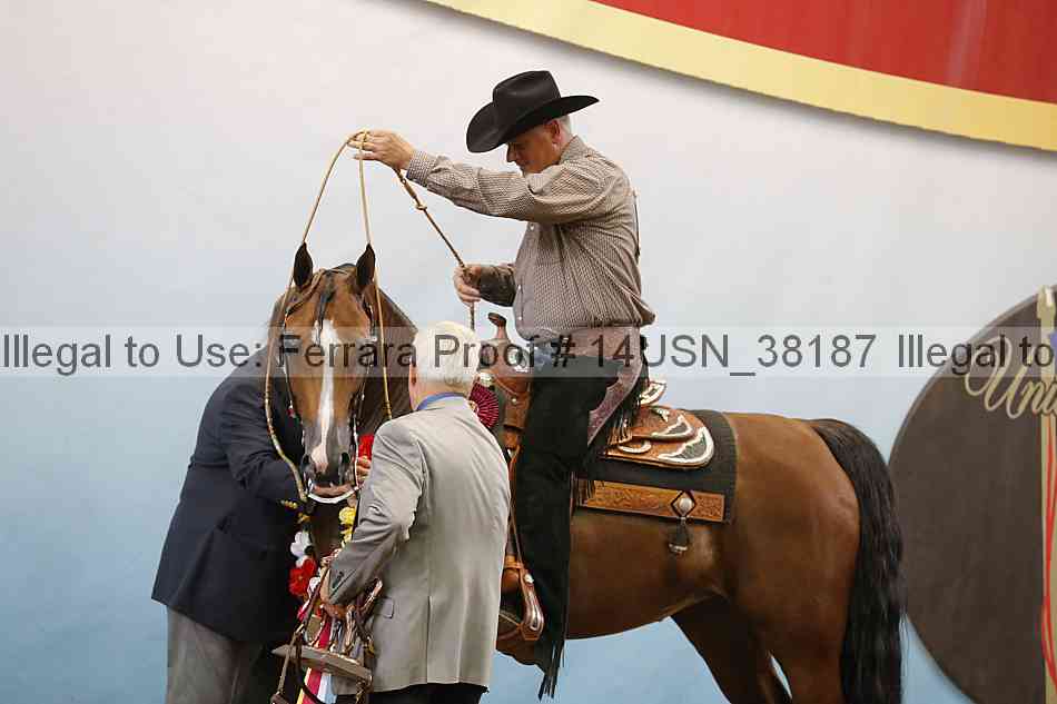 Proof 14usn_38187