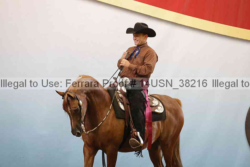 Proof 14usn_38216