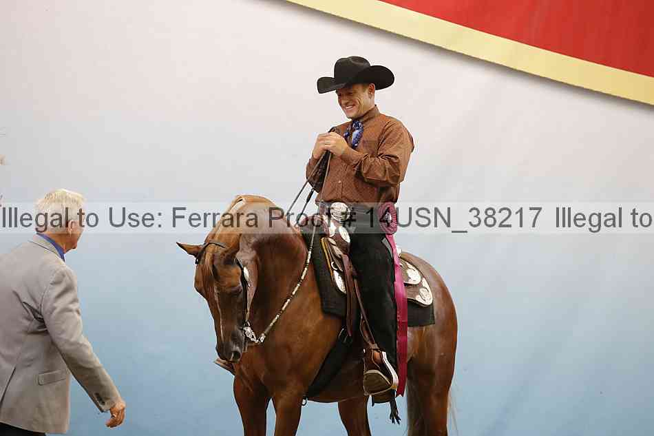 Proof 14usn_38217