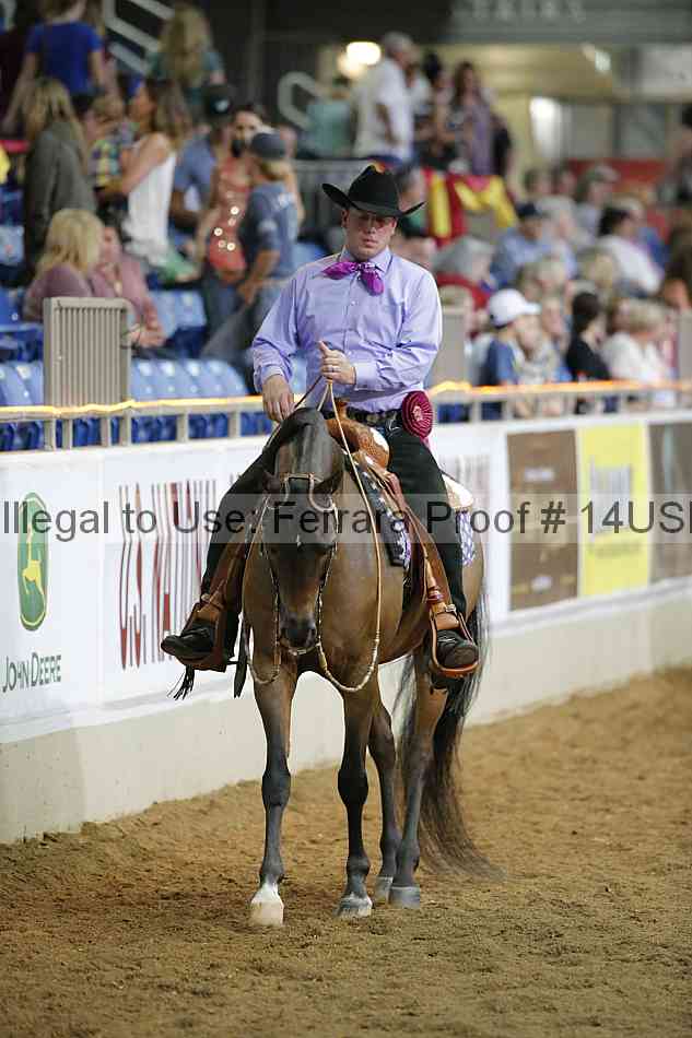 Proof 14usn_38234