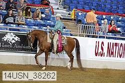 14usn_38262 proof