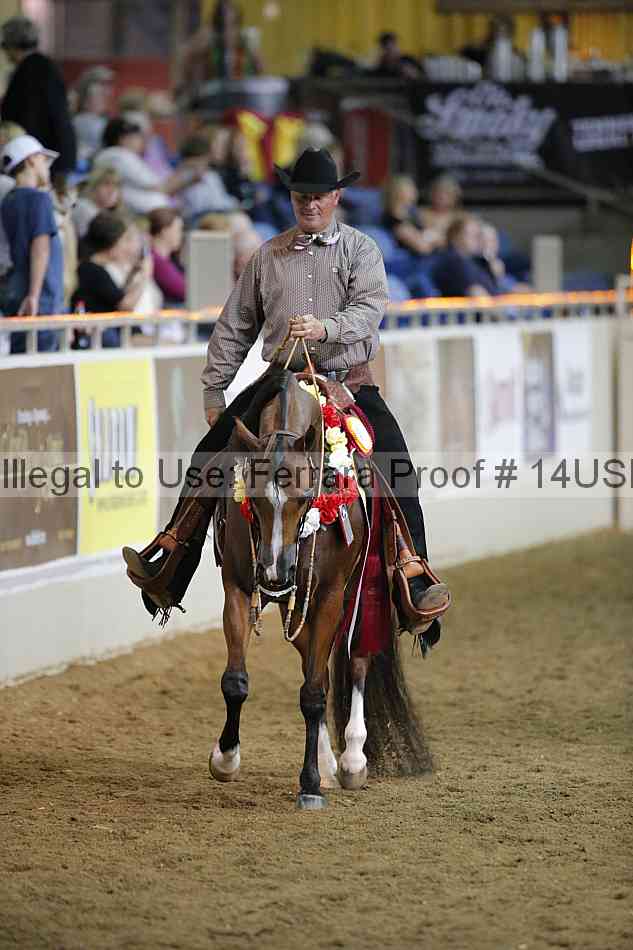 Proof 14usn_38271