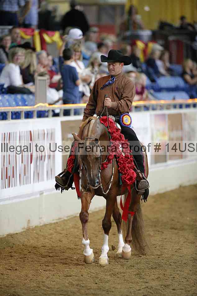 Proof 14usn_38286