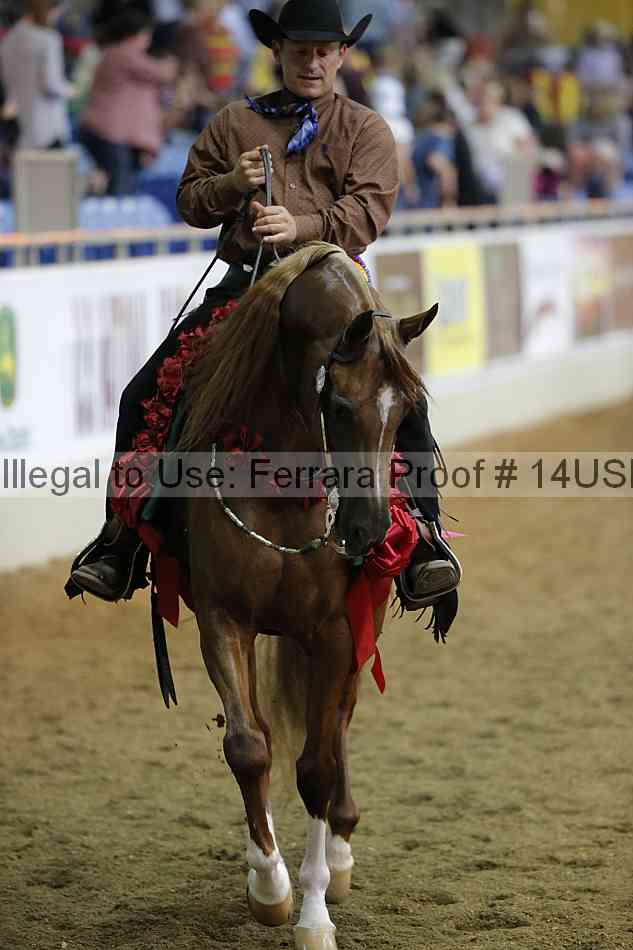Proof 14usn_38296