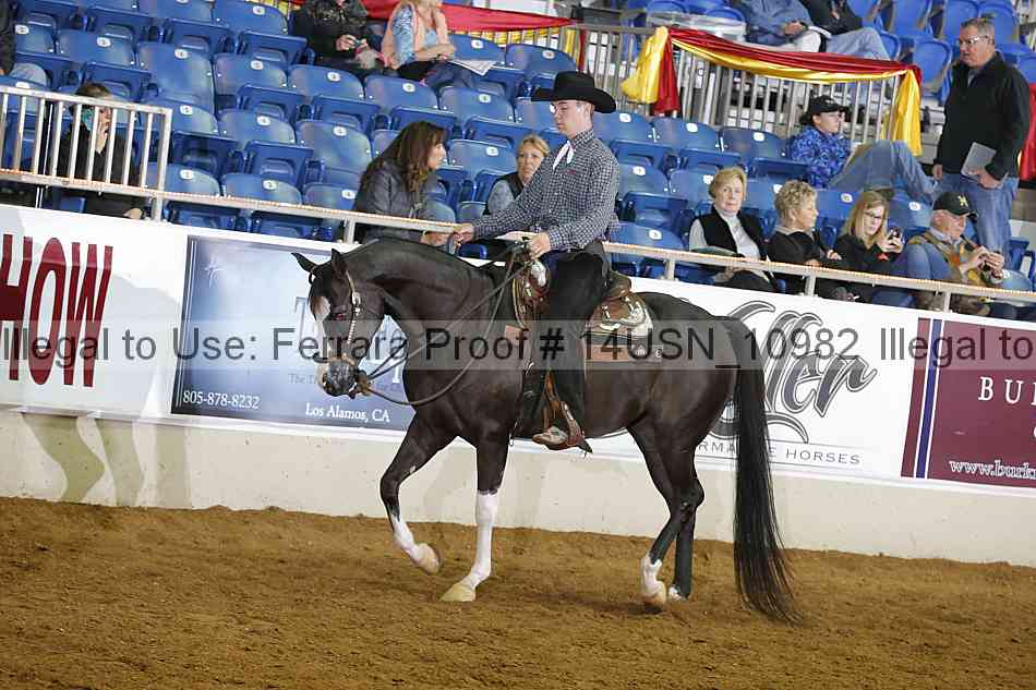 Proof 14usn_10982