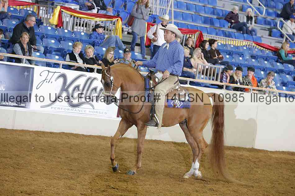 Proof 14usn_10985
