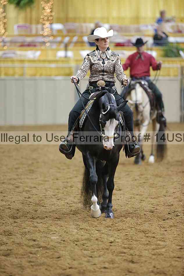Proof 14usn_10987