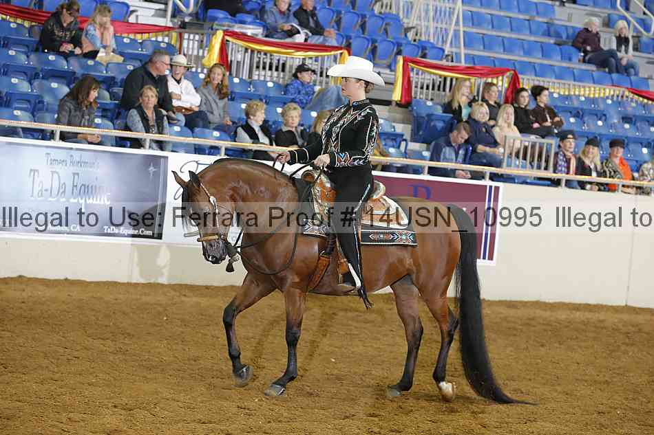 Proof 14usn_10995