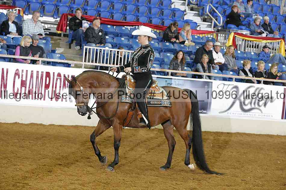 Proof 14usn_10996