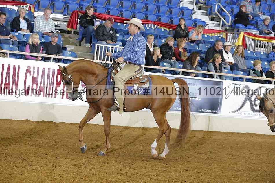 Proof 14usn_11021